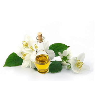 Jasmine Essential Oil Minyak Atsiri Melati Jasminum non Absolut