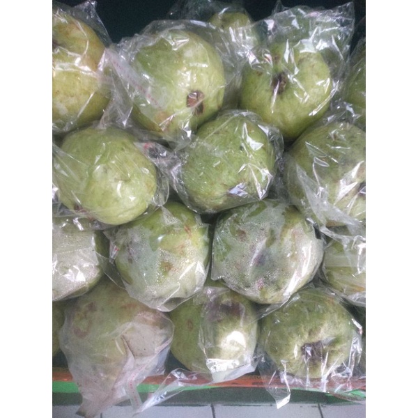 

jambu kristal