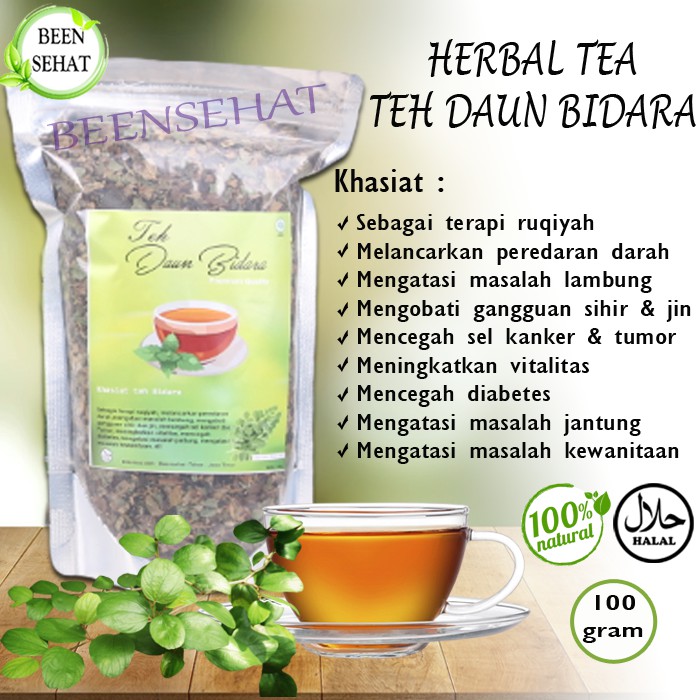 Teh Herbal Daun Bidara Teh Herbal Nyeri Haid Obat Herbal Kanker Tumor Obat Diabetes Jantung Lambung Indonesia