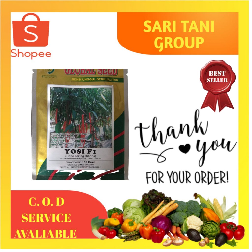 BENIH CABE KERITING YOSI F1