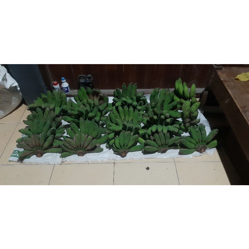 

pisang raja
