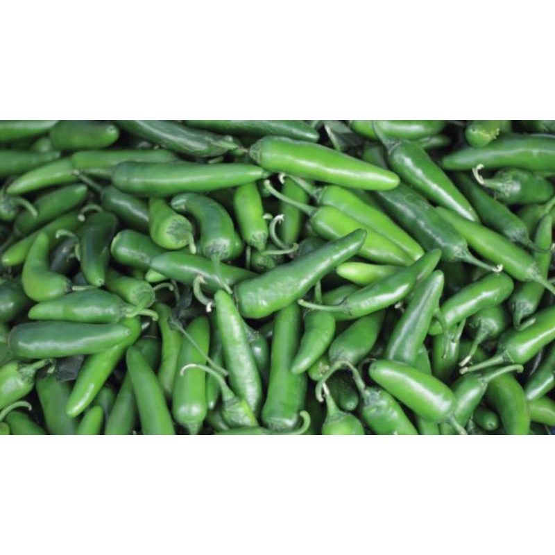 

cabe hijau besar / cabe fresh 500gram