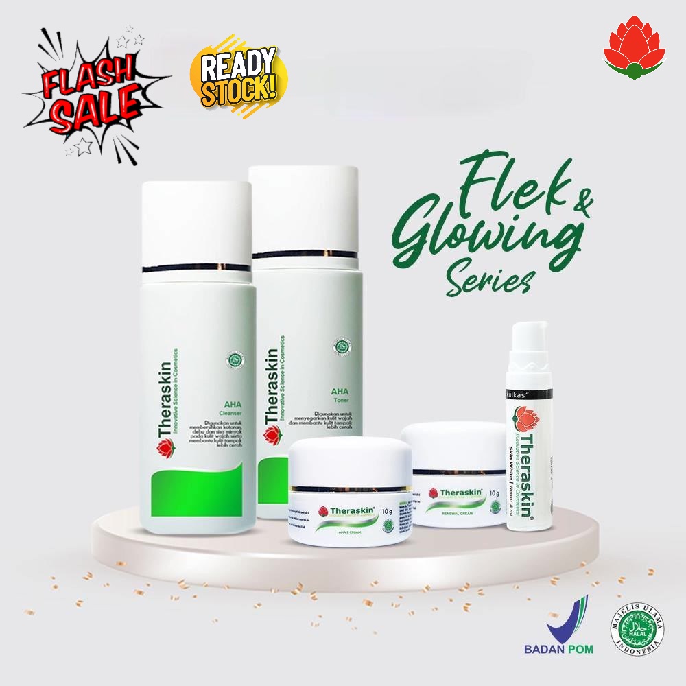 Theraskin Paket Flek & Glowing