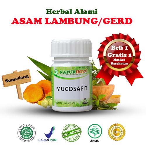MUCOSAFIT obat herbal asam lambung kronis ampuh mengobati maag maagh gerd anxiety nyeri perut melapisi dinding lambung mual muntah sakit perut kiri kembung begah sendawa dan pencernan isi 40 kapsul-1