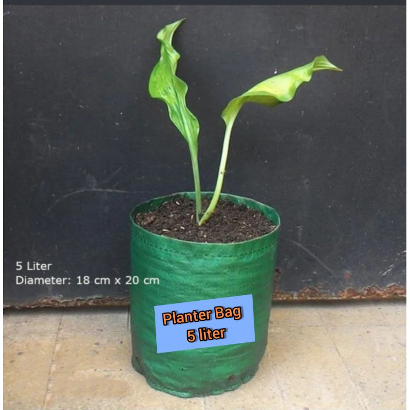 Planter Bag 5 liter Easy Grow
