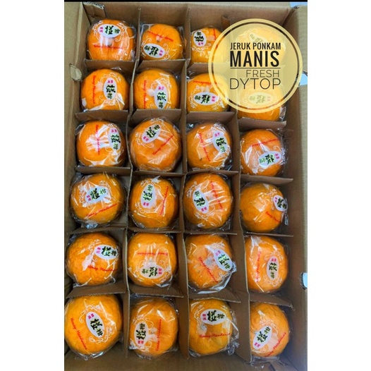 

Buah Jeruk Ponkam Premium Import Manis Fresh