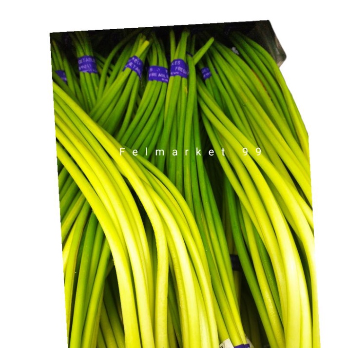 

Bunga bawang import fresh | ikat