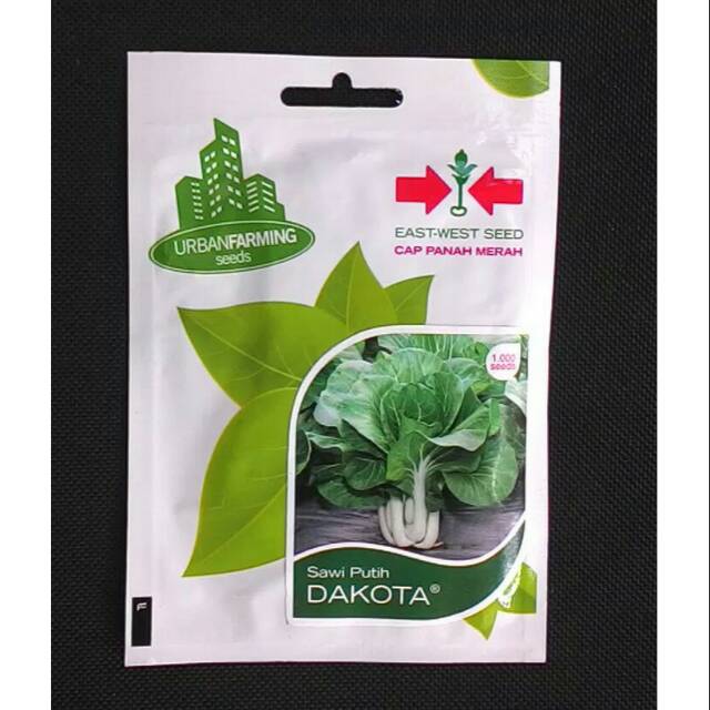 Benih Biji Sawi Putih Dakota - Cap Panah Merah