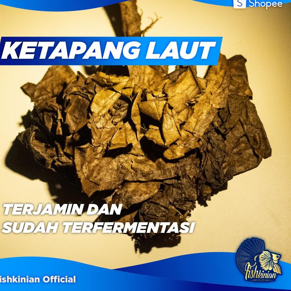 

Off Stock KETAPANG LAUT FISHKINIAN OLAHAN FERMENTASI 50 GR Promo Viral!!✿ ✧