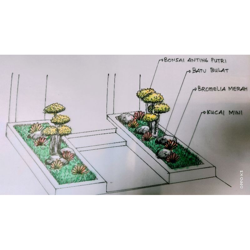 Jasa bikin taman, Jasa buat taman, Jasa pembuatan taman, Taman rumah, Taman depan rumah, Jabodetabek