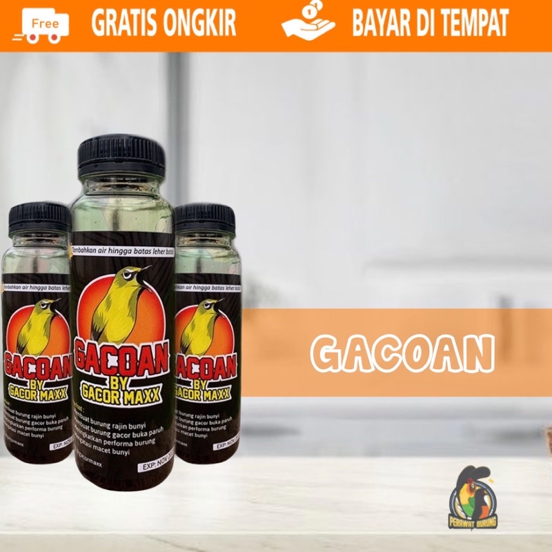 Doping pleci gacoan