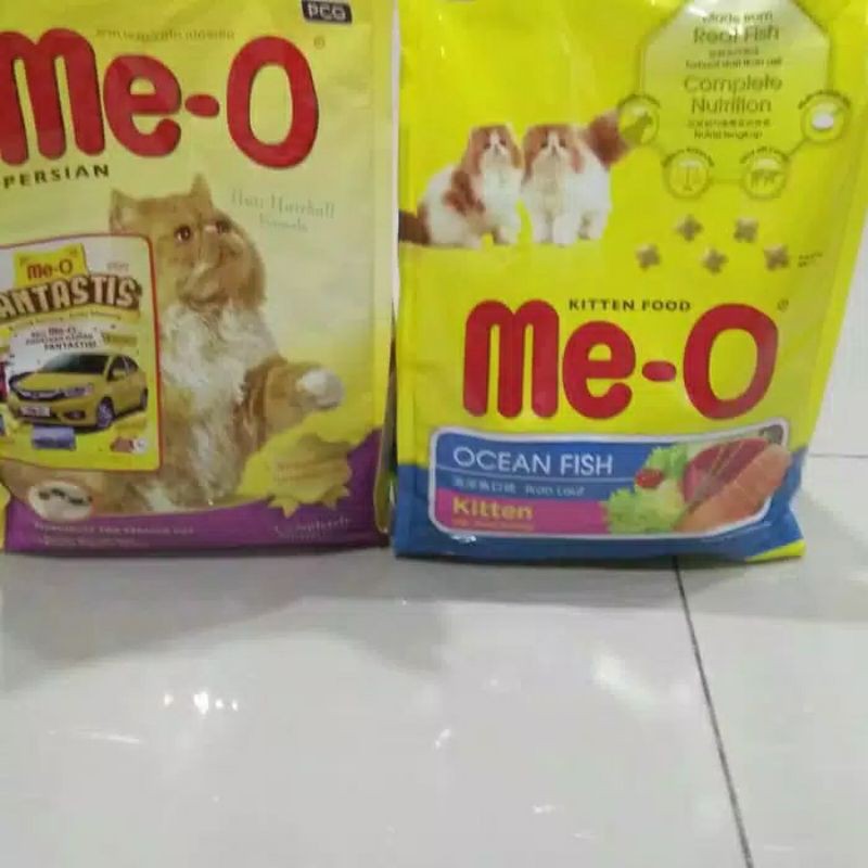 meo kitten