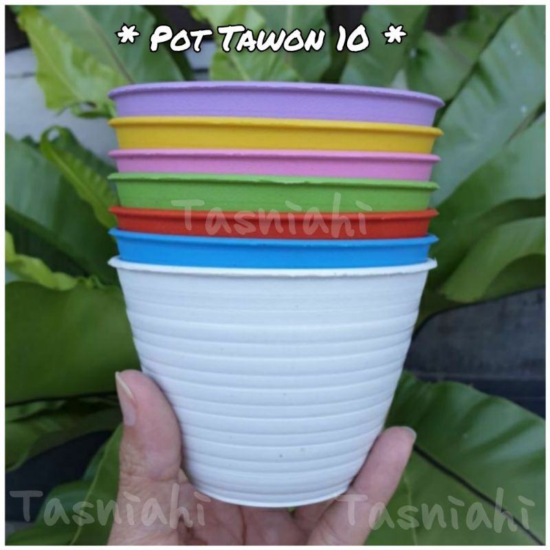 Jual Pot Bunga Plastik Model Tawon Mdn Putih Pot Tawon Cm Warna