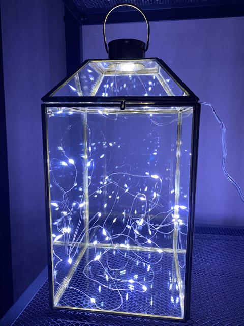 Custom Terrarium Ring Box