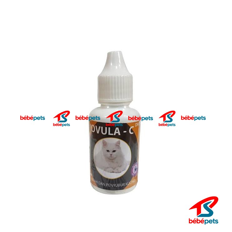 Ovula C Drop 30ml - Ovula Cat Obat Birahi Kucing Penyubur Kandungan