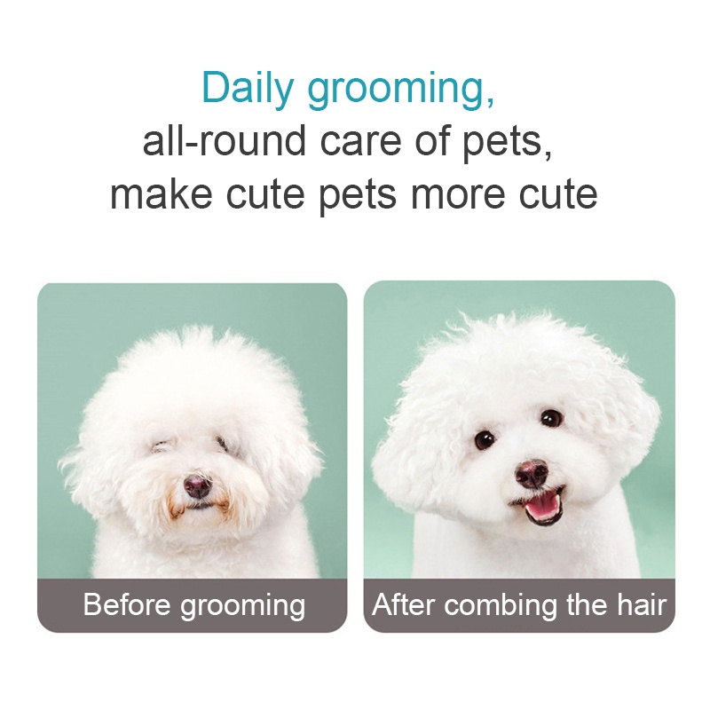 Sisir Kutu Kucing Anjing Sisir  Pet Brush Grooming Kucing