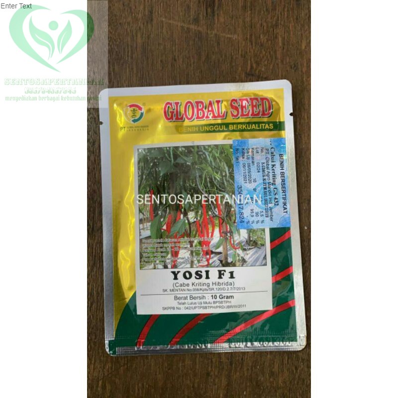 benih cabe keriting hibrida YOSI F1 10 gram dari GLOBAL SEED