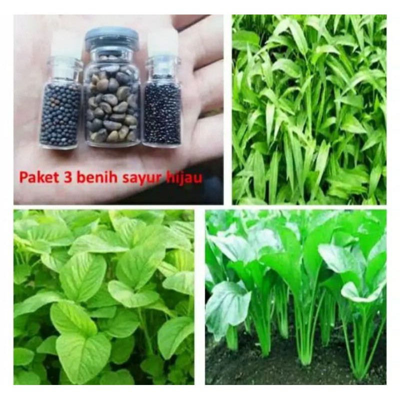 Paket benih bibit Sayuran hemat
