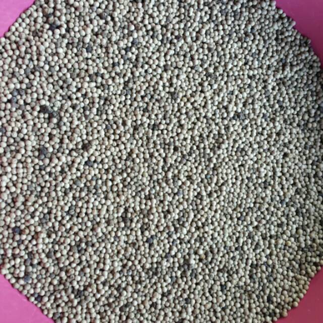 

LADA PUTIH BUTIR SUPER / WHITE PEPPER - MERICA PUTIH - LADA PUTIH ALAMI TANPA PEMUTIH