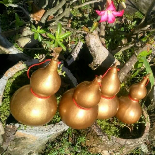 2 Pcs Botol labu dewa mabuk