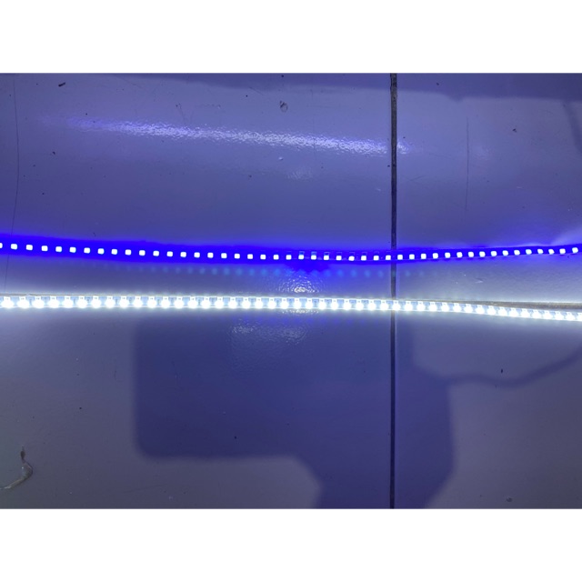 Led Cumi 45 cm 2 Warna 12 volt