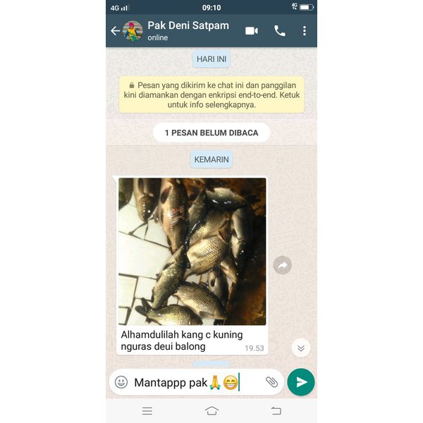 SARI KROTO CAIR(PENGGANTI KROTO)