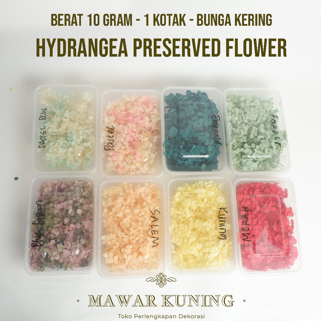 TOKOMAWARKUNING [ 10 Gram ] Hydrangea Preserved Flower / Bunga Kering hydrangea