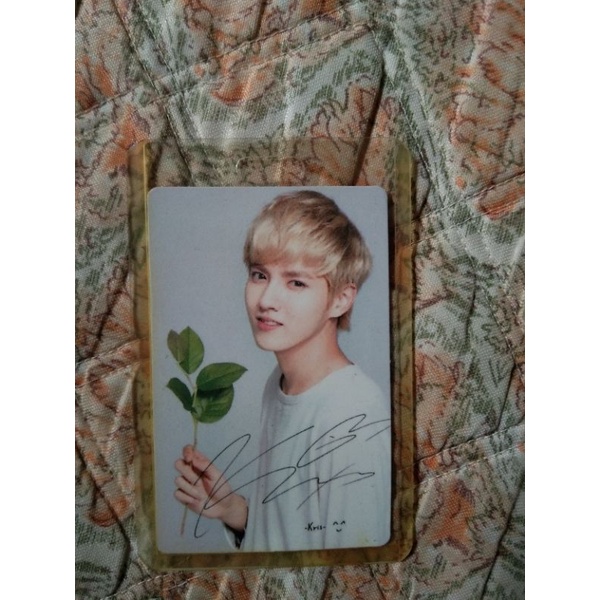 (Booked) EXO Photocard PC Nature republic Natrep Kris