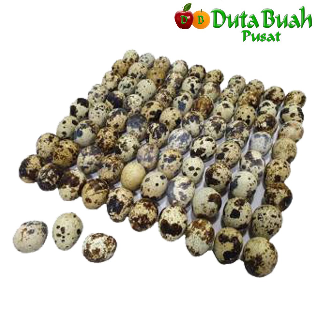 

DUTA BUAH Telur Puyuh (1kg/95-98 butir)