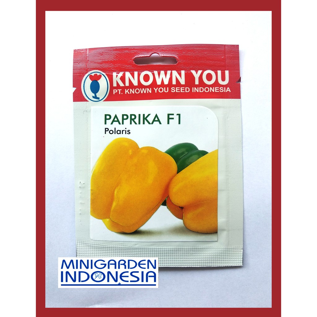 PAPRIKA POLARIS PACK KECIL 13 BIJI Benih Paprika Kuning F1 unggul KNOWN YOU SEED Bibit Tanaman Sayuran Hidroponik