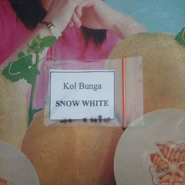 Benih Repack Kol Bunga SNOW WHITE