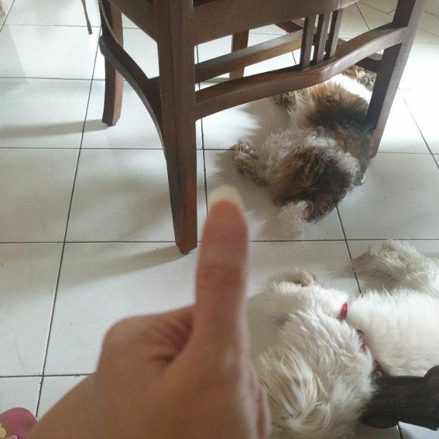 Cj Cetakan Bento Decorative Ham, Cheese & Veggie Cutter