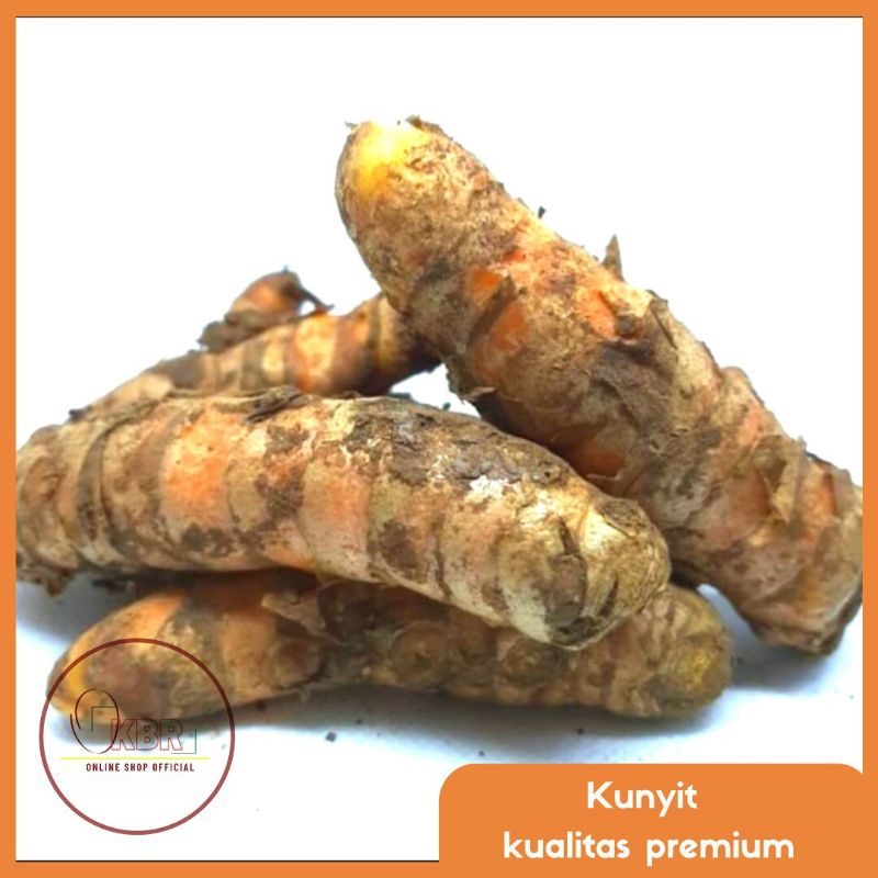 

KUNYIT SUPER / KUNYIT SEGAR - 1kg