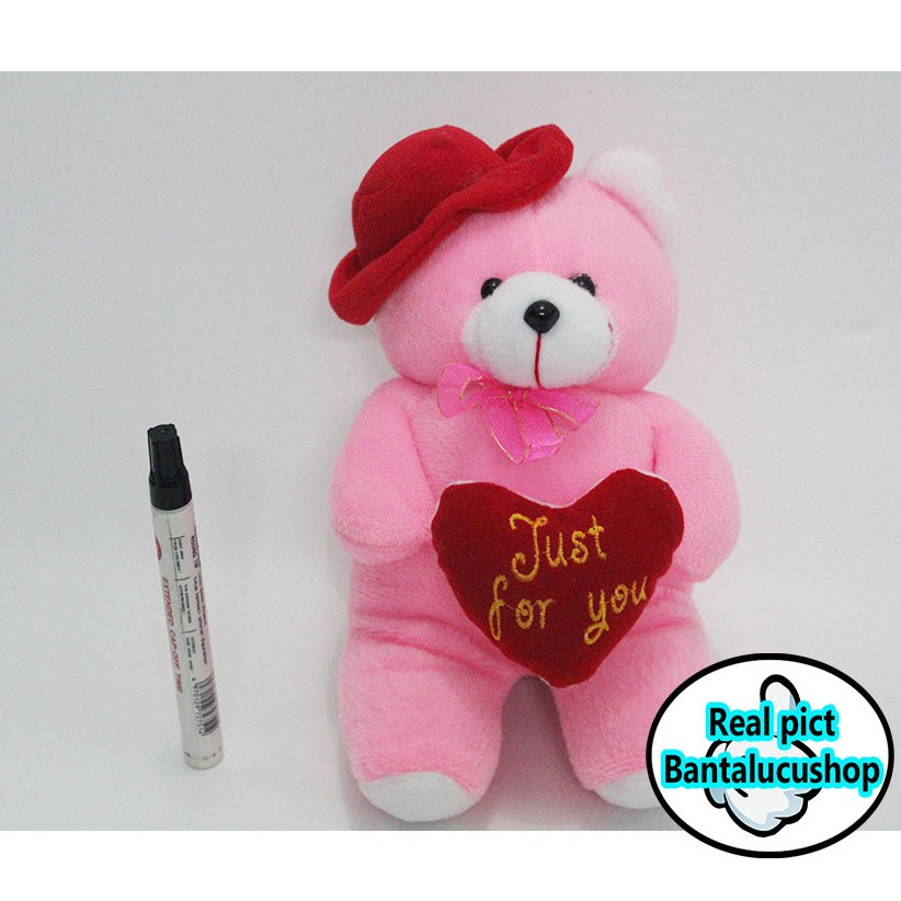 Boneka Teddy Bear Love Topi Size S