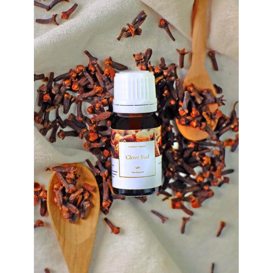 Clove Bud Essential Oil Minyak Atsiri Bunga Cengkeh - Obat Sakit Gigi Alami