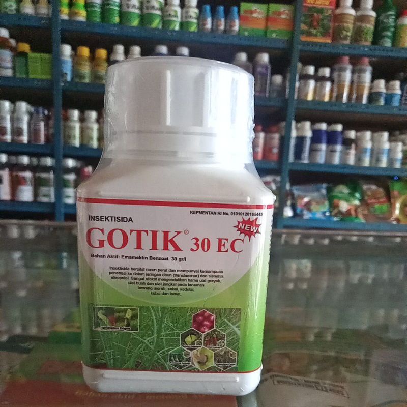Gotik 30EC