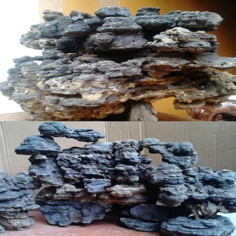 batu besi/iron ston aquascape dan aquarium