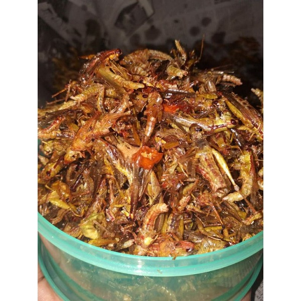 

BELALANG GORENG EXSTRA PEDAS kemasan toples warna