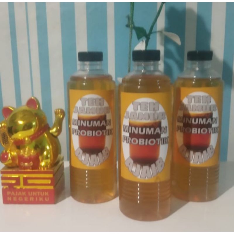 Teh Jamur Kombucha