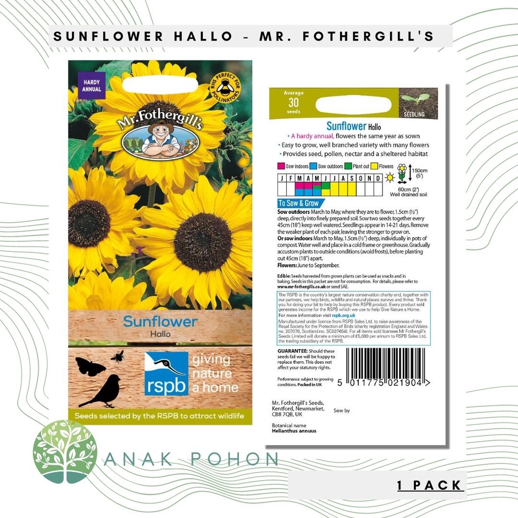 (1 PACK) Benih Sunflower Hallo Seeds - Mr. Fothergill's - 30 Biji