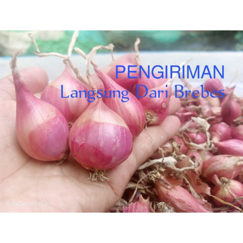 

BAWANG BREBES