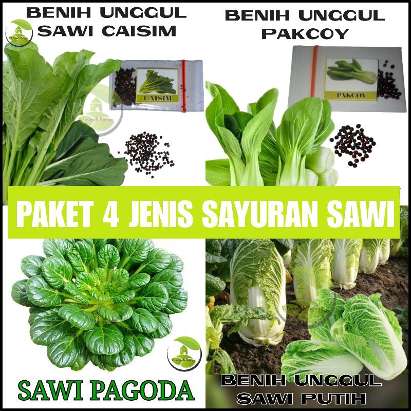 Paket 4 macam benih sayuran sawi