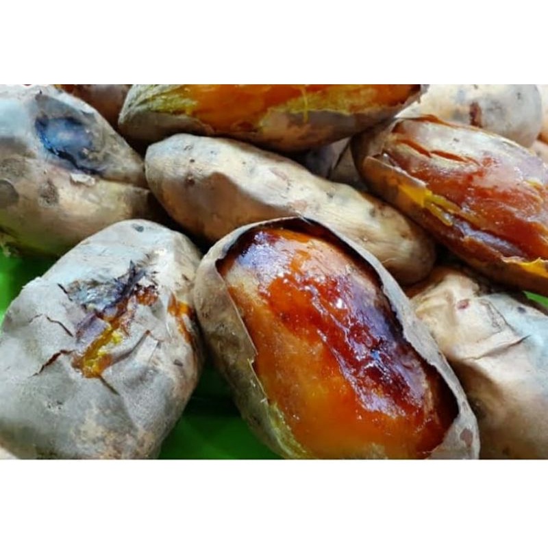 

Ubi Cilembu