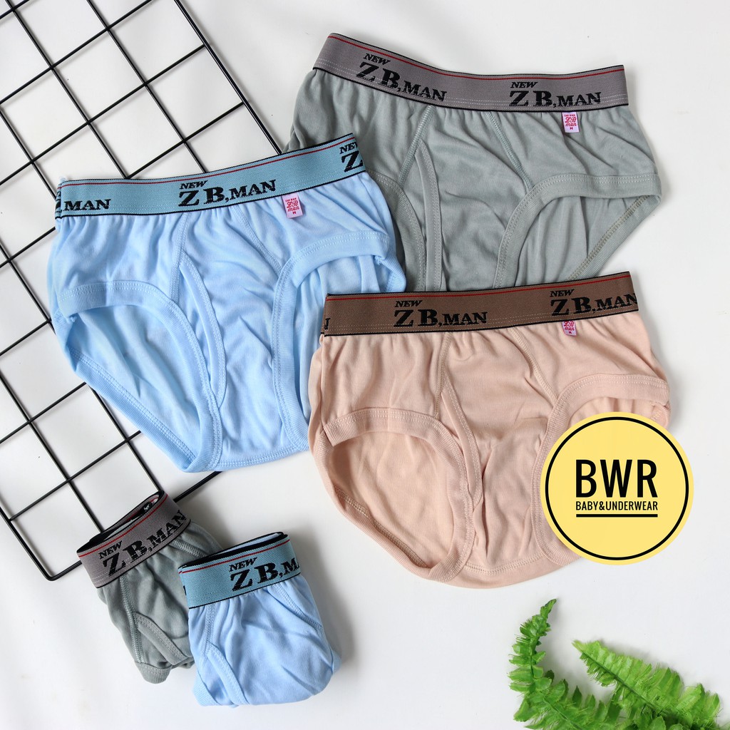 Grosir [ 6pc ] CD ZB MAN BOXER Jumbo | Celana Dalam Pria Sempak Karet Boxer Berkualitas - Bwr