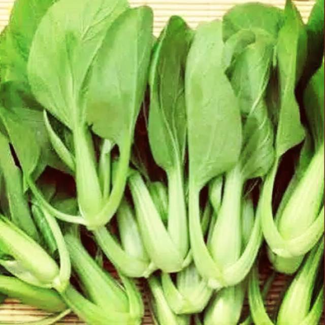 

Sawi Pakcoy 250gr | Sayur Online Deli Serdang