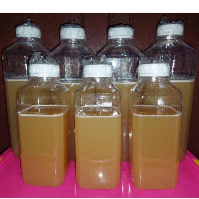 

Madu Trigona Asli 100%