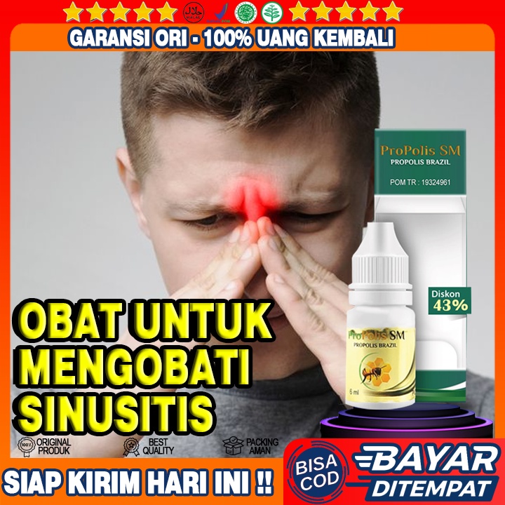 Obat Sinusitis, Radang Sinus, Sinusitis Akut, Sinusitis Kronis, Polip Hidung, Rhinitis, Alergi