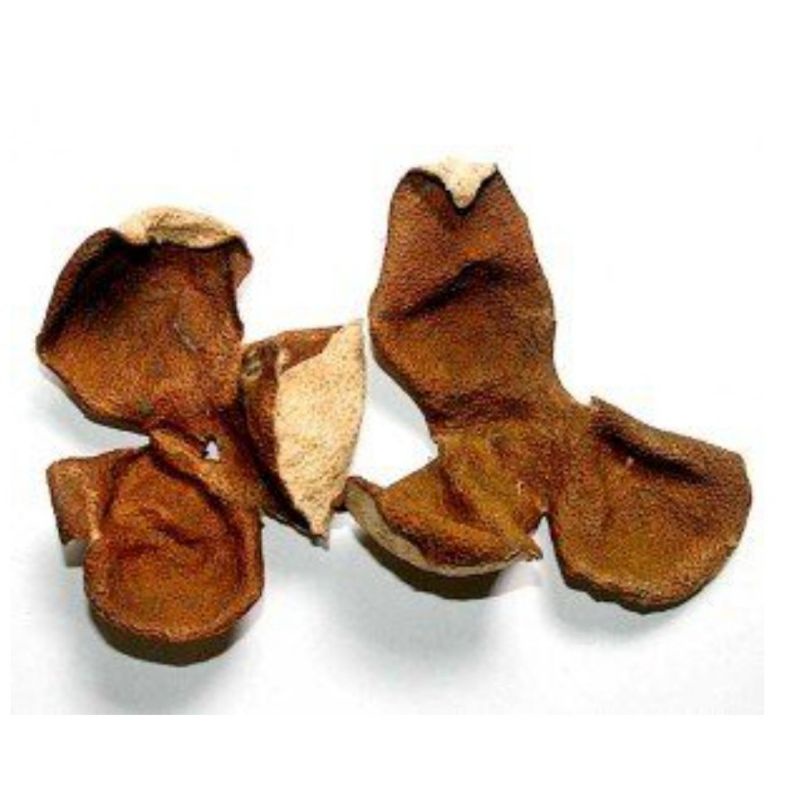 

KULIT JERUK KERING IMPORT / DRIED ORANGE PELL PREMIUM / CENPI / CEN PI