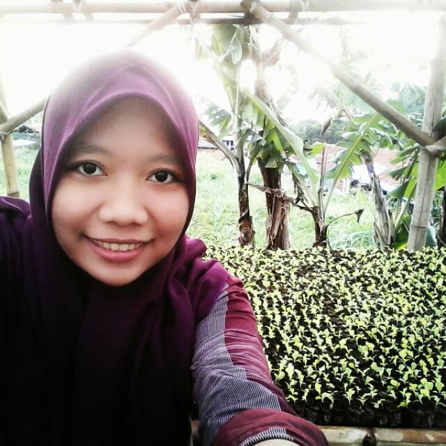 farida_iffah