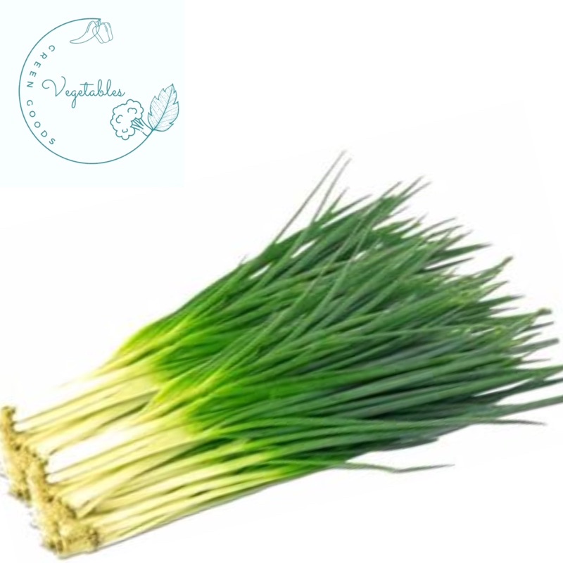 

DAUN BAWANG FRESH MURAH PERKILO
